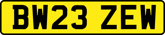 BW23ZEW