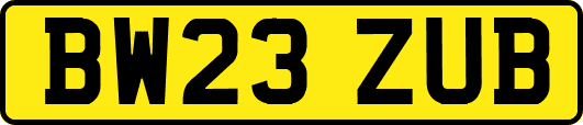BW23ZUB