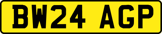BW24AGP
