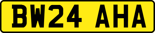 BW24AHA