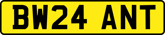 BW24ANT