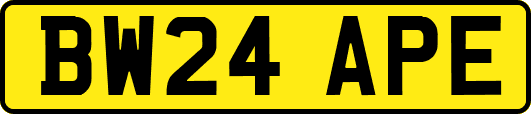 BW24APE