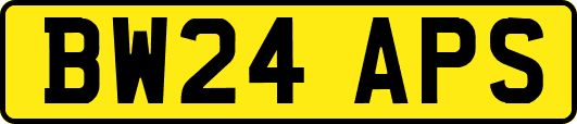 BW24APS