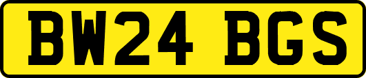 BW24BGS