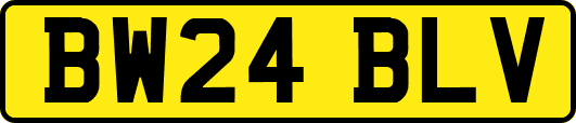 BW24BLV