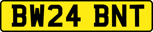 BW24BNT