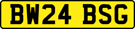BW24BSG