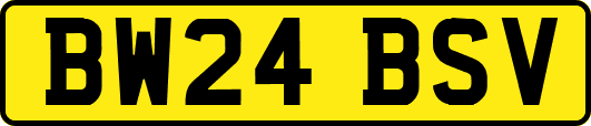 BW24BSV