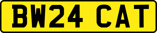 BW24CAT