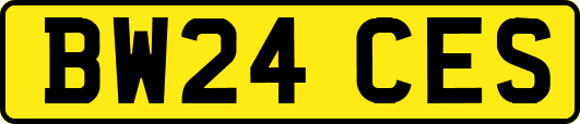 BW24CES
