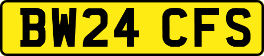 BW24CFS