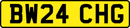 BW24CHG