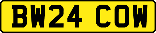 BW24COW
