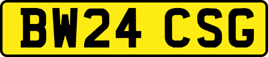 BW24CSG