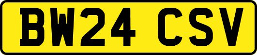 BW24CSV