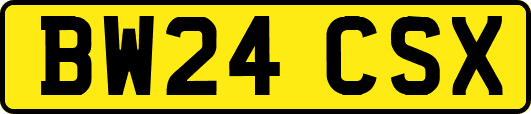 BW24CSX