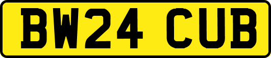 BW24CUB