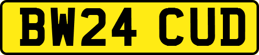 BW24CUD