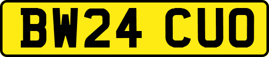 BW24CUO
