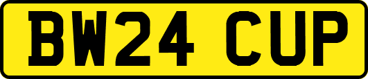 BW24CUP