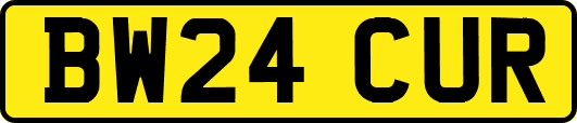 BW24CUR