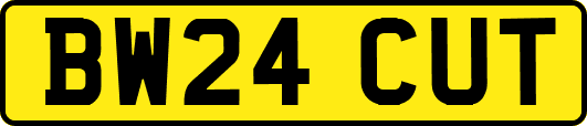 BW24CUT