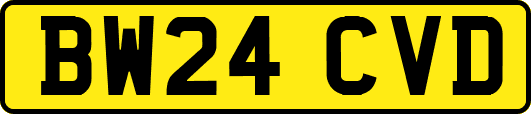 BW24CVD