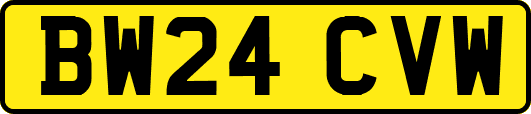 BW24CVW