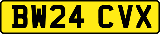 BW24CVX