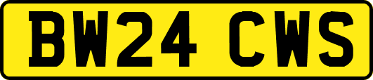 BW24CWS