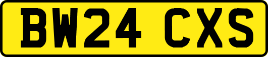 BW24CXS