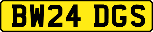 BW24DGS