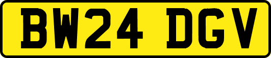 BW24DGV