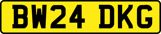BW24DKG