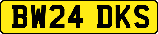 BW24DKS