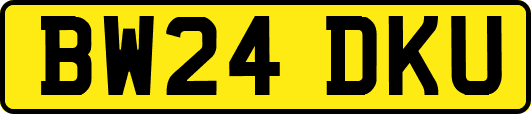 BW24DKU