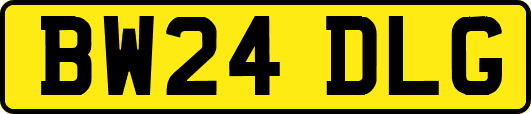 BW24DLG