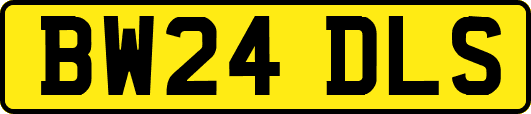 BW24DLS