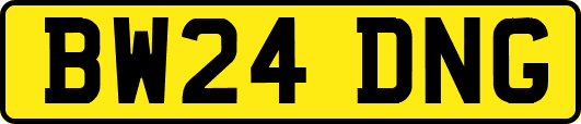BW24DNG