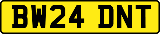 BW24DNT