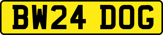 BW24DOG