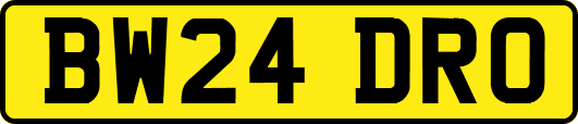 BW24DRO