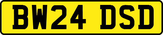 BW24DSD