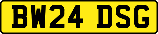 BW24DSG