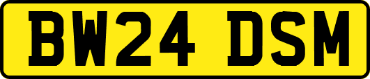 BW24DSM