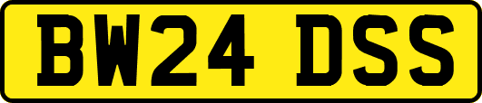 BW24DSS