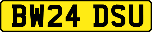 BW24DSU