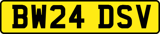 BW24DSV