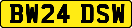 BW24DSW