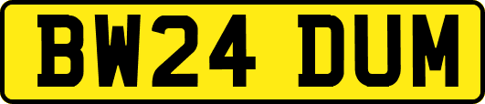 BW24DUM